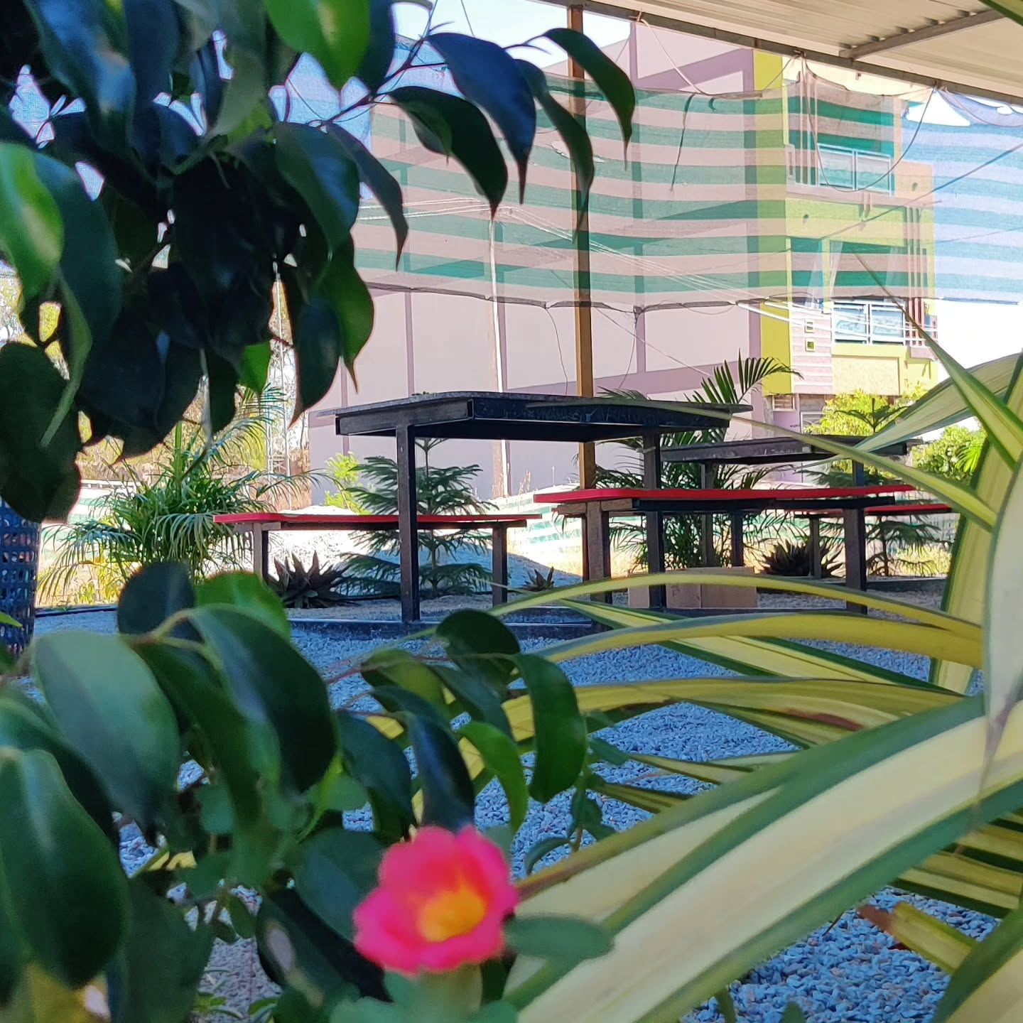 Morning view
